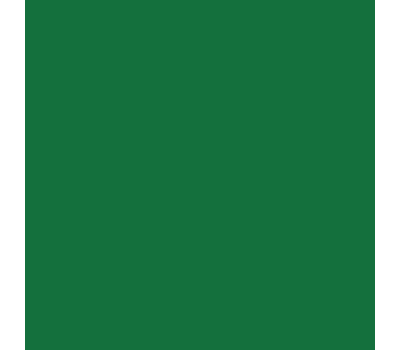 Siser P.S. Film Extra A0009 Green
