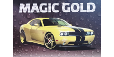 Auto Magic Magic Gold 22 Kg  /assets/images/items/2691/0496345001542816993.jpg