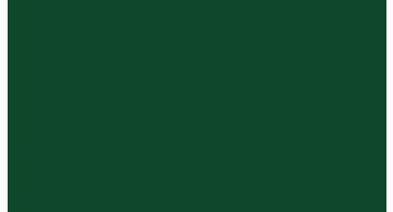 Oracal 751 060 Gloss Dark Green 1 m