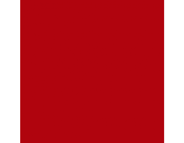 Oracal 970 Geranium Red Gloss 305 1.524 m