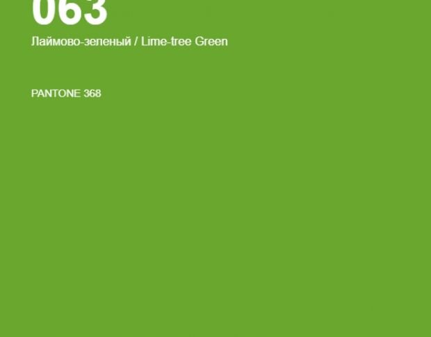 Oracal 641 063 Gloss Lime Tree Green 1 m