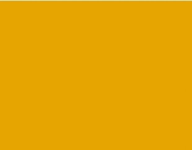 Oracal 751 019 Gloss Signal Yellow 1 m
