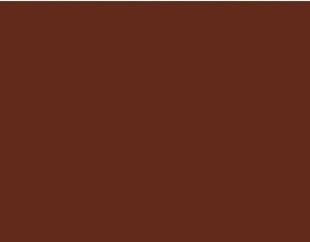 Oracal 751 079 Gloss Red Brown 1 m