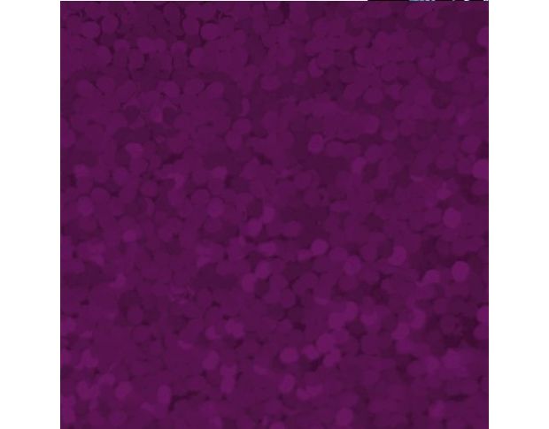 SMTF Hologram Violet SHO05 0.50 m