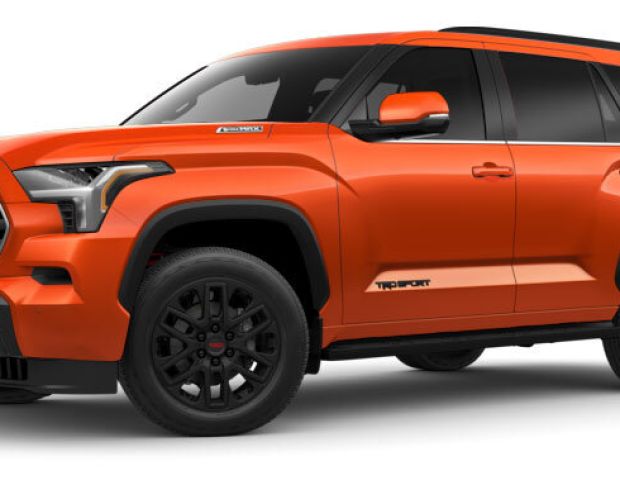 Выкройка для салона TOYOTA SEQUOIA 2024 -